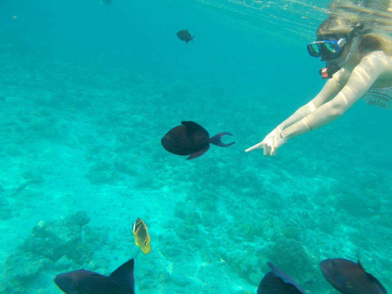 Nala Veli Beach & Spa Укулхас Экстерьер фото